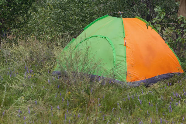 istock Camping tent on the campground lawn 2152801779
