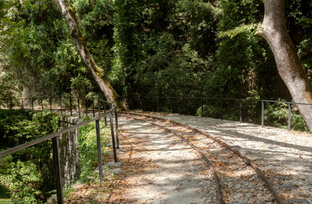 Old, metal rails at the station in the forest on a sunny summer day close-up (Pelion, Greece)
