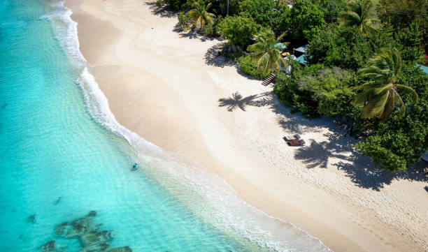 vista aérea de las hermosas playas de la isla de antigua y barbuda - caribbean sea fotografías e imágenes de stock