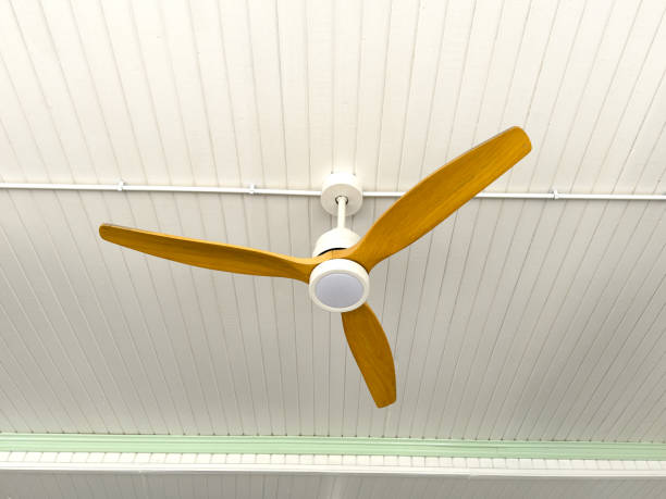 Modern wooden ceiling fan with 3 blades  at indoor