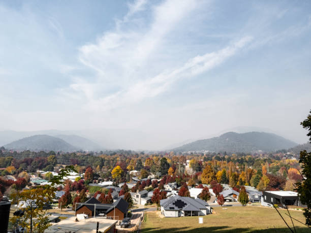 istock Suburban houses and air pollution 2152812816