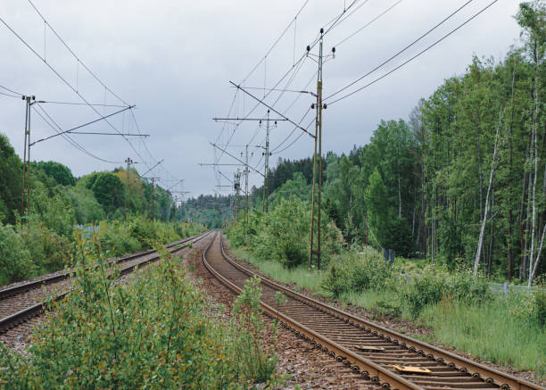 istock View of a railway tracks during summer 2152817706