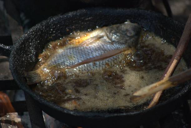 istock Fish and fish in the Carabobo state. 2152818558