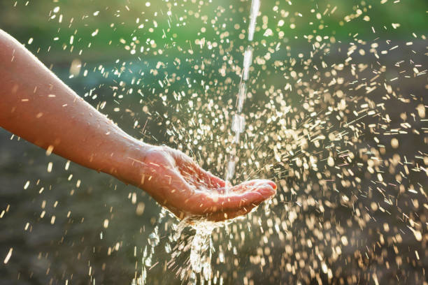 istock hand is holding a spray bottle of water 2152823048
