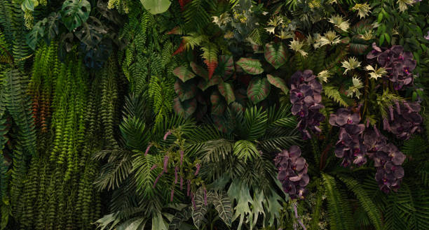 istock Group of dark green tropical leaves background. 2152823869