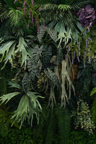 istock Tropical green leaves background. 2152823883