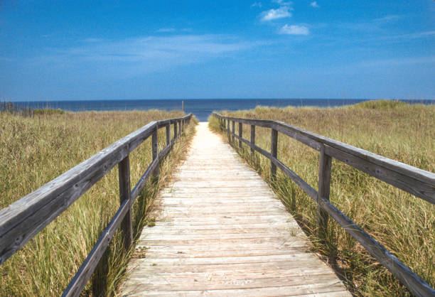 istock North Carolina Outer Banks - Nags Head - Boardwalk to Beach - 1996 2152824968