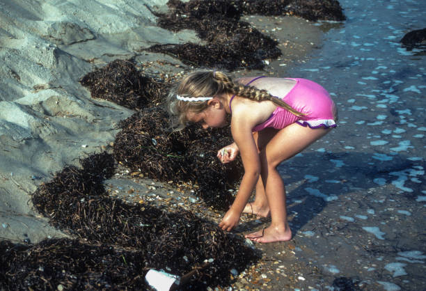 cape hatteras ns - hledání pokladů - 1987cape hatteras ns - hledání pokladů - 1987. naskenováno ze snímku kodachrome 64. - atlantského oceánu fotky - stock snímky, obrázky a fotky