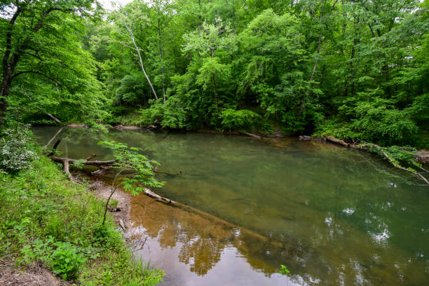 istock A Walk by the Cahaba River in Birmingham, Alabama 2152826826