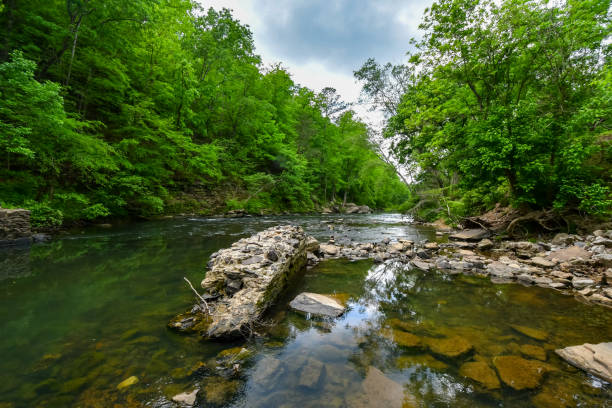 istock A Walk by the Cahaba River in Birmingham, Alabama 2152826831