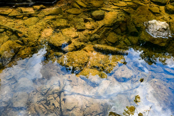 istock A Walk by the Cahaba River in Birmingham, Alabama 2152827054