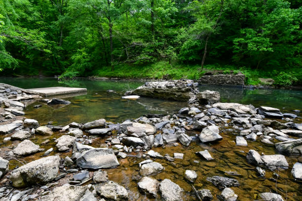 istock A Walk by the Cahaba River in Birmingham, Alabama 2152827079
