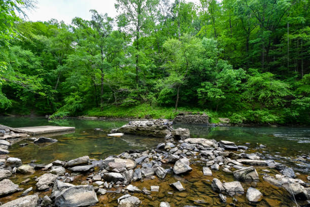 istock A Walk by the Cahaba River in Birmingham, Alabama 2152827088