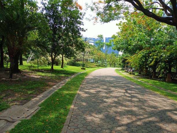 istock Walkpath walkway in Bangkok garden Thailand 2152827136