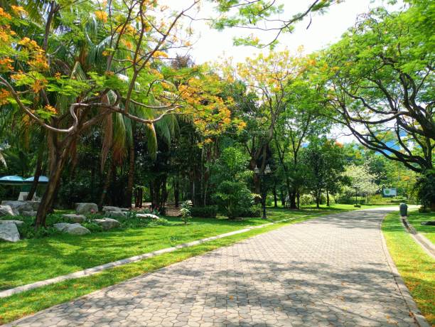 Walkpath walkway in Bangkok garden Thailand