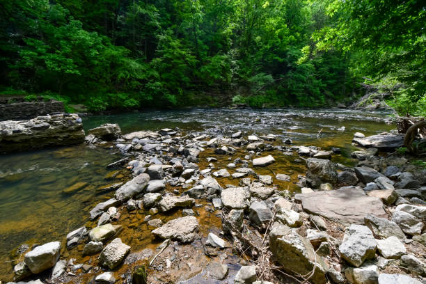 istock A Walk by the Cahaba River in Birmingham, Alabama 2152827184
