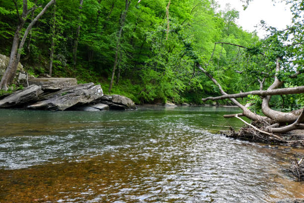 istock A Walk by the Cahaba River in Birmingham, Alabama 2152827208