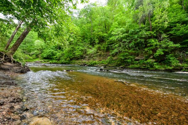 istock A Walk by the Cahaba River in Birmingham, Alabama 2152827209