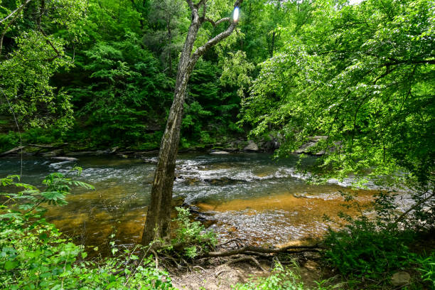 istock A Walk by the Cahaba River in Birmingham, Alabama 2152827312