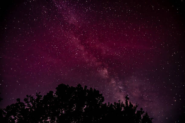My first time seeing the northern lights and it was so amazing, something I'll never forget!\nI took these pictures at Natchez Trace in Hohenwald Tennessee