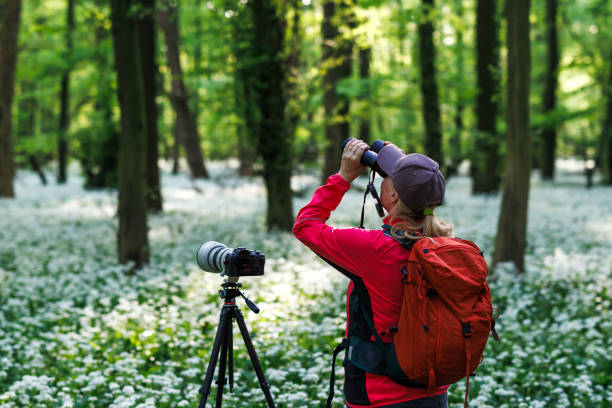 istock Wildlife photographer is bird watching in forest 2152831790