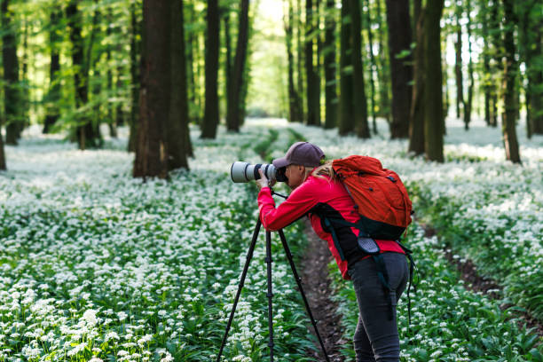 istock Landscape and wildlife photographer with backpack in forest 2152831795