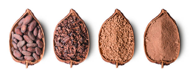 Cocoa bean, cocoa nibs, cocoa mass and cacao powder