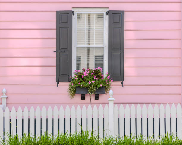 istock Charleston, South Carolina 2152832433