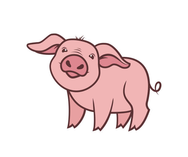 ilustrações de stock, clip art, desenhos animados e ícones de cute pig - piglet character mascot - porco
