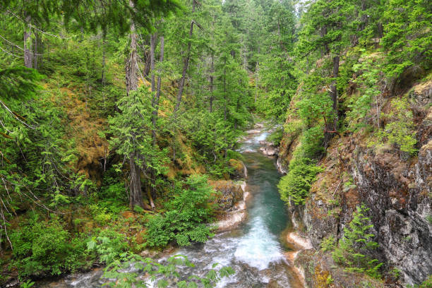 istock Rivers and waterfalls of Canada 2152837294