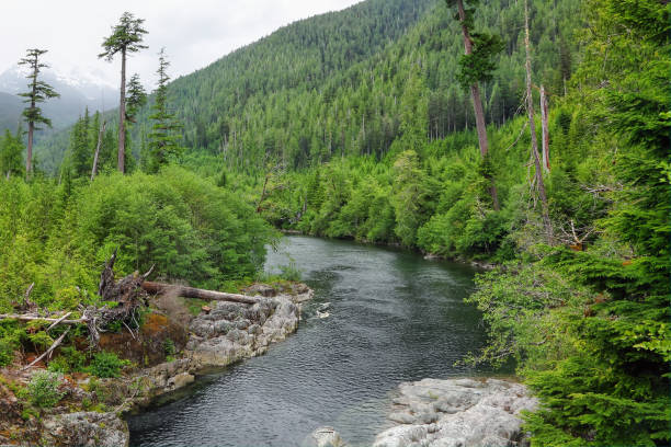 istock Rivers and waterfalls of Canada 2152837311