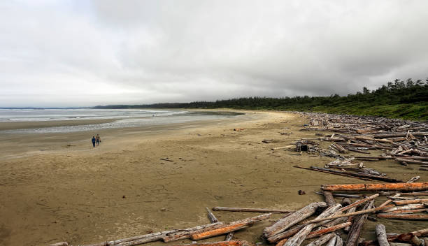 istock Foggy morning on the Pacific coast after a storm 2152837315