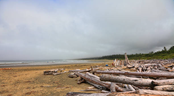istock Foggy morning on the Pacific coast after a storm 2152837320