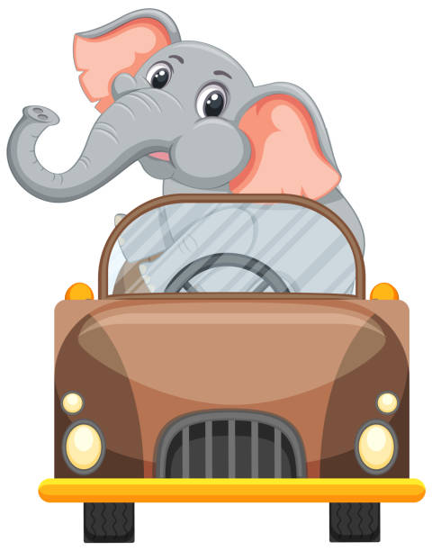 Elephant Cartoon Racing 140+ Cartoon Elephant Driving A Car Stock Illustrations, Royalty-Free ...