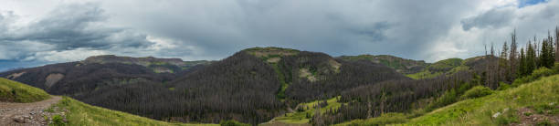 istock panorama of forested mountains with overcast skies 2152841903