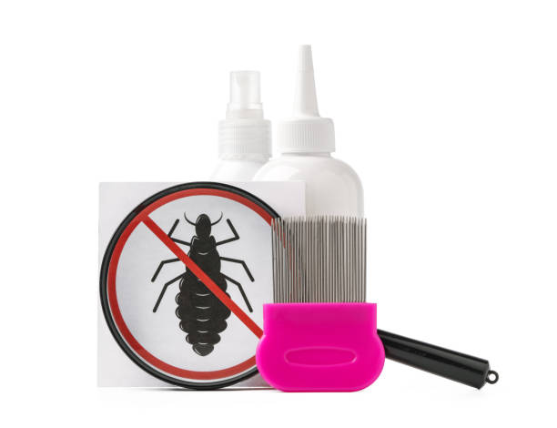 istock Cosmetic products and lice comb isolated on white background 2152842482