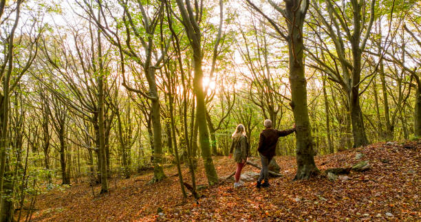 istock Mature couple hike in lush forest 2152844059
