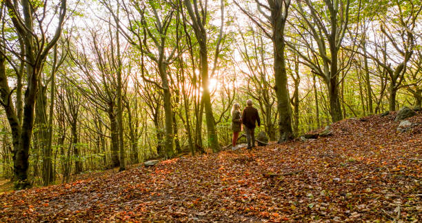 istock Mature couple hike in lush forest 2152844182