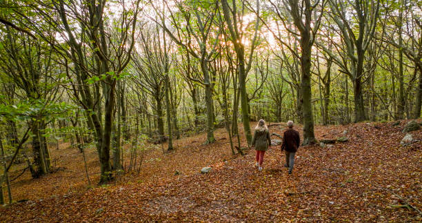 istock Mature couple hike in lush forest 2152844391
