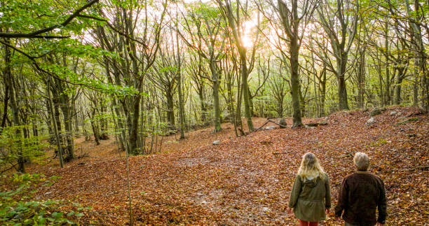 istock Mature couple hike in lush forest 2152844422