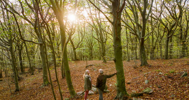 istock Mature couple hike in lush forest 2152844670