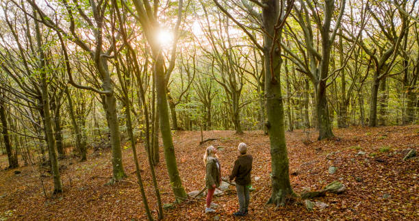 istock Mature couple hike in lush forest 2152844673