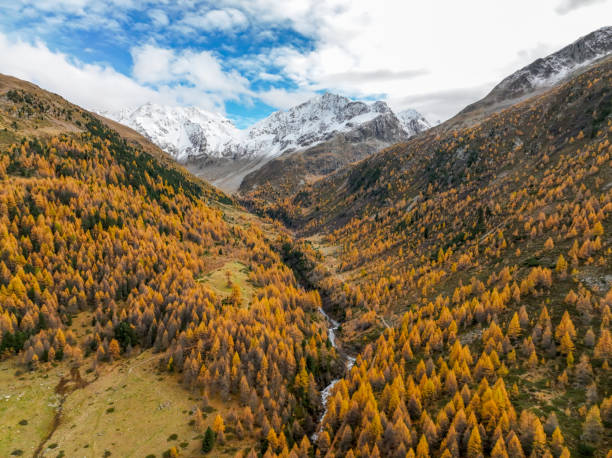 Aerial view of river flowing down mountain
