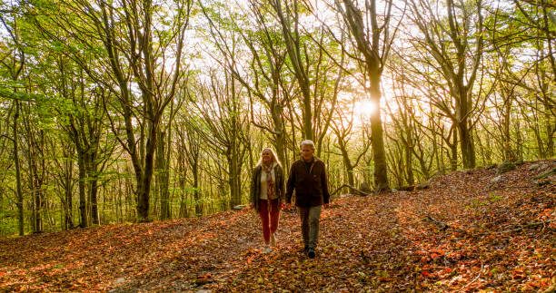 istock Mature couple hike in lush forest 2152845045