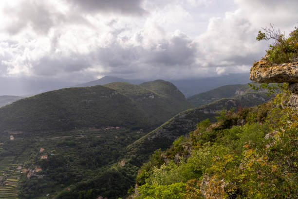 Elevated view of forest, valley and mountains with lofty clouds above