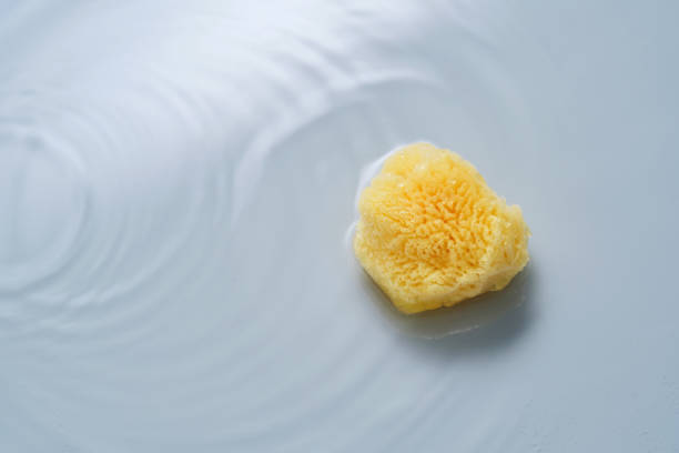 istock Natural sponge on a blue background with water. 2152846680