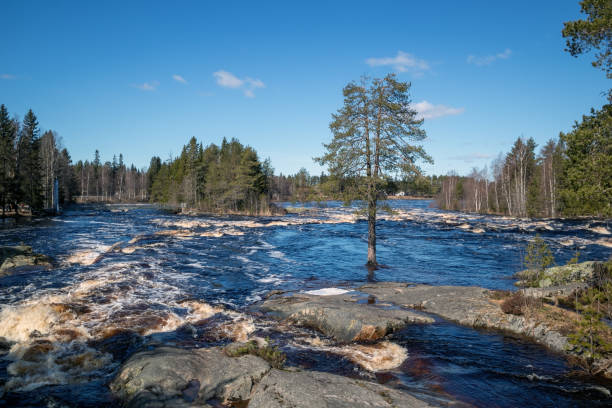 Koitelinkoski rapids in springtime, Oulu Finland
