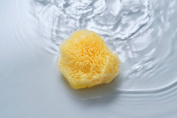 istock Natural sponge on a blue background with water. 2152846769