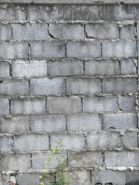 istock a photography of a fire hydrant sitting next to a brick wall. 2152847227