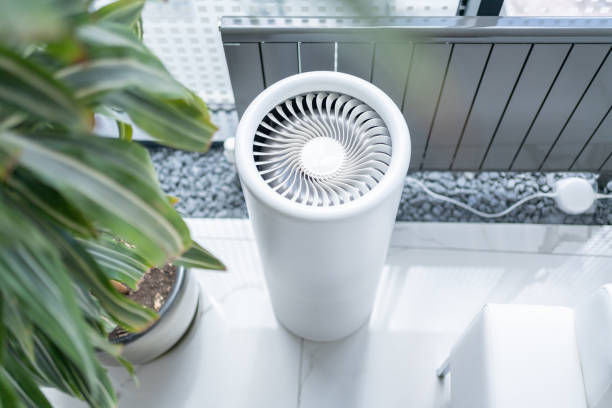 Healthy Life With Air Purifier
